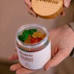 Bodela Sea Moss Gummies 13 Bodela Sea Moss Gummies -Bumble Sale Store Bodela Sea Moss Gummies 1