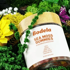 Bodela Sea Moss Gummies 15 Bodela Sea Moss Gummies -Bumble Sale Store Bodela Sea Moss Gummies 7