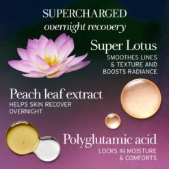 Fresh Lotus Youth Preserve Dream Face Cream 1.7oz -Bumble Sale Store Fresh Lotus Youth Preserve Dream Face Cream 1 5