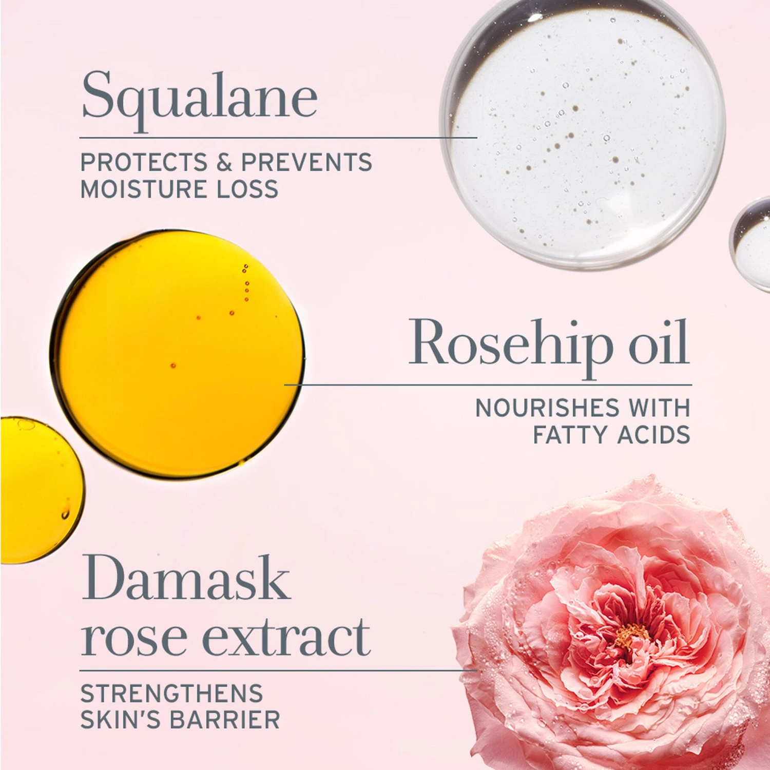 Fresh Rose Oil Infused Serum 3.4oz 7 Fresh Rose Oil Infused Serum 3.4oz - Image 5