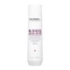 Goldwell Dualsenses Blondes & Highlights Shampoo - 10oz