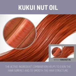 Goldwell Dualsenses Just Smooth Taming Conditioner -Bumble Sale Store Goldwell Dualsenses Just Smooth Kukui Nut Oil