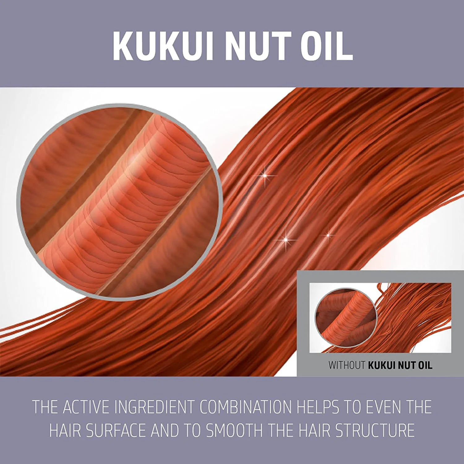 Goldwell Dualsenses Just Smooth Taming Shampoo 8 Goldwell Dualsenses Just Smooth Taming Shampoo - Image 6