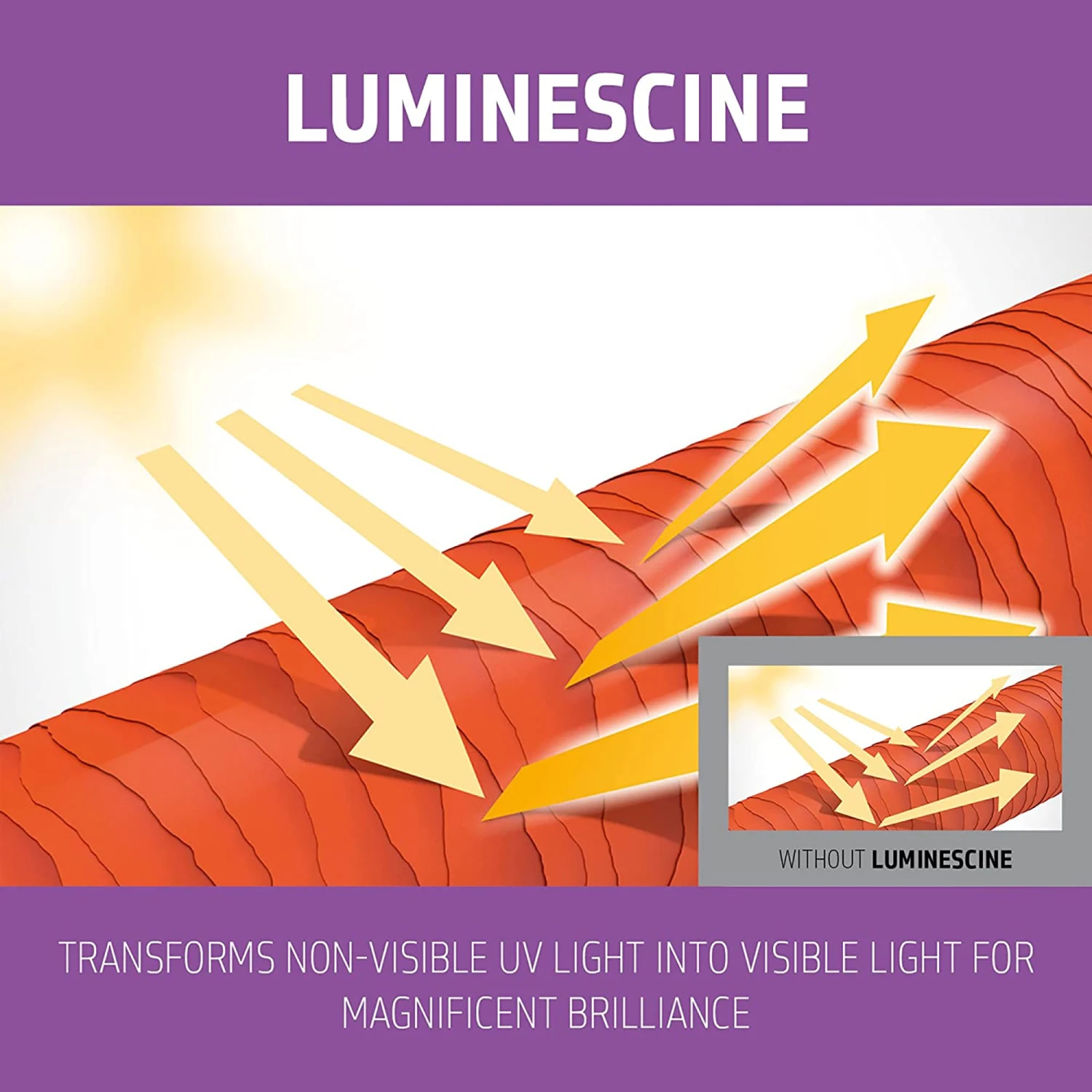 Goldwell Dualsenses Color Brilliance Shampoo 5 Goldwell Dualsenses Color Brilliance Shampoo - Image 3