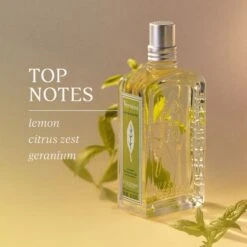 L'Occitane Verbena Eau De Toilette -Bumble Sale Store L Occitane Verbena Eau de Toilette 1