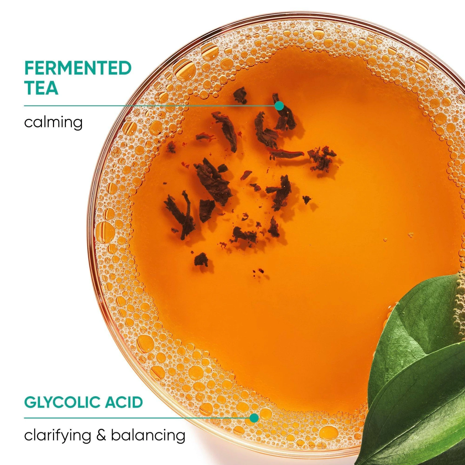 Matrix Biolage Scalp Sync Calming Shampoo 6 Matrix Biolage Scalp Sync Calming Shampoo - Image 4