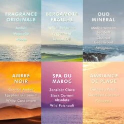 Moroccanoil MorocanOil Hand Cream - Ambiance De Plage -Bumble Sale Store MoroccanOil Hand Cream Originale 3 86978d31 3da5 4d60 b657 ad9768c9d2e6