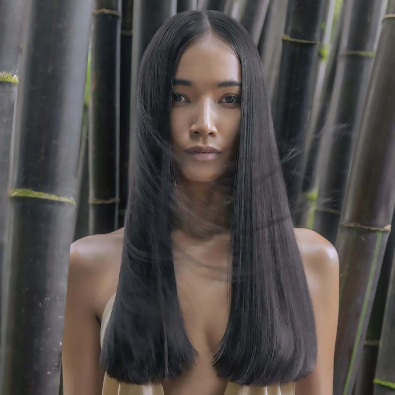 Paul Mitchell Awapuhi Wild Ginger Repair Nourishing Shampoo - 33oz 6 Paul Mitchell Awapuhi Wild Ginger Repair Nourishing Shampoo - 33oz - Image 4