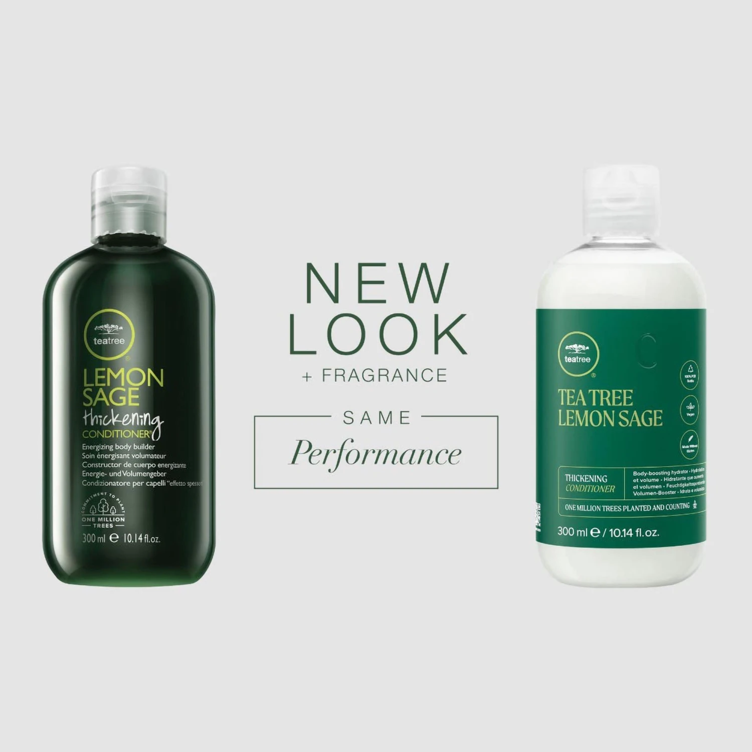 Paul Mitchell Tea Tree Lemon Sage Thickening Conditioner - 10 Oz 5 Paul Mitchell Tea Tree Lemon Sage Thickening Conditioner - 10 Oz - Image 3