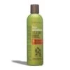 Peter Lamas Hair Solutions Energizing Shampoo -Bumble Sale Store Peter lamas hair solutions energizing shampoo