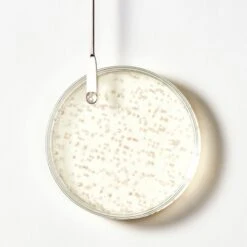 René Furterer Rene Furterer TRIPHASIC Strengthening Shampoo - 6oz 9 René Furterer Rene Furterer TRIPHASIC Strengthening Shampoo - 6oz -Bumble Sale Store Rene Furterer TRIPHASIC Strengthening Shampoo 6oz 907f8f45 f7be 48f2 9ee5 f856c4165463