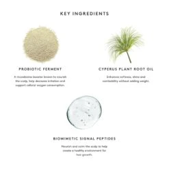 Virtue Flourish Conditioner -Bumble Sale Store Virtue Flourish Conditioner 4