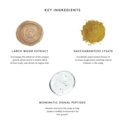 Virtue Flourish Density Booster -Bumble Sale Store Virtue Flourish Density Booster 4