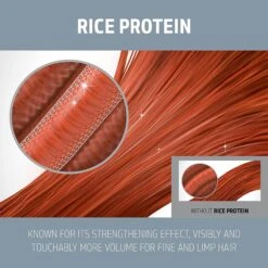 Goldwell Dual Sense Ultra Volume Shampoo And Conditioner Liter Duo ($85 Value) -Bumble Sale Store goldwell dualsenses ultra volume bodifying shampoo2