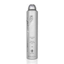 Kenra Professional Platinum Heat Block Spray 22 - 8oz