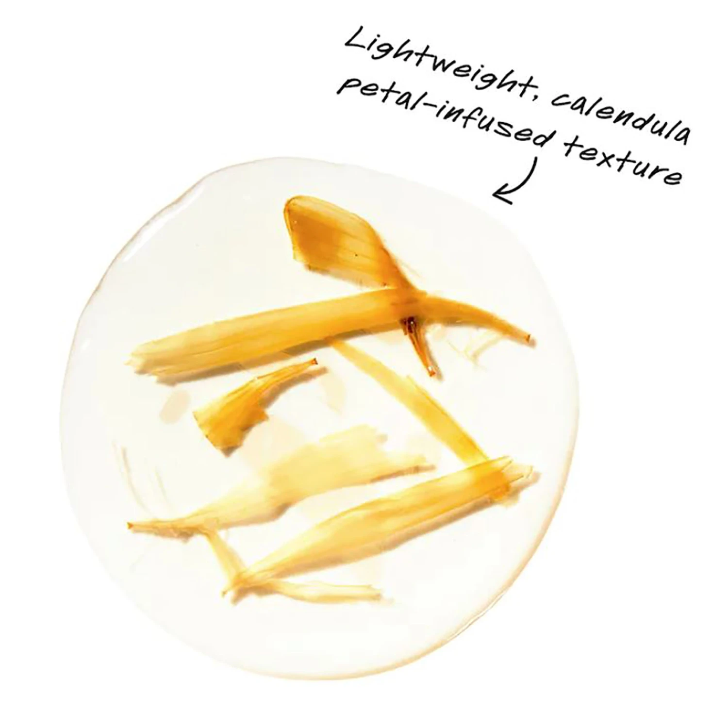 Kiehl's Calendula Herbal Extract Alcohol-Free Toner 5 Kiehl's Calendula Herbal Extract Alcohol-Free Toner - Image 3