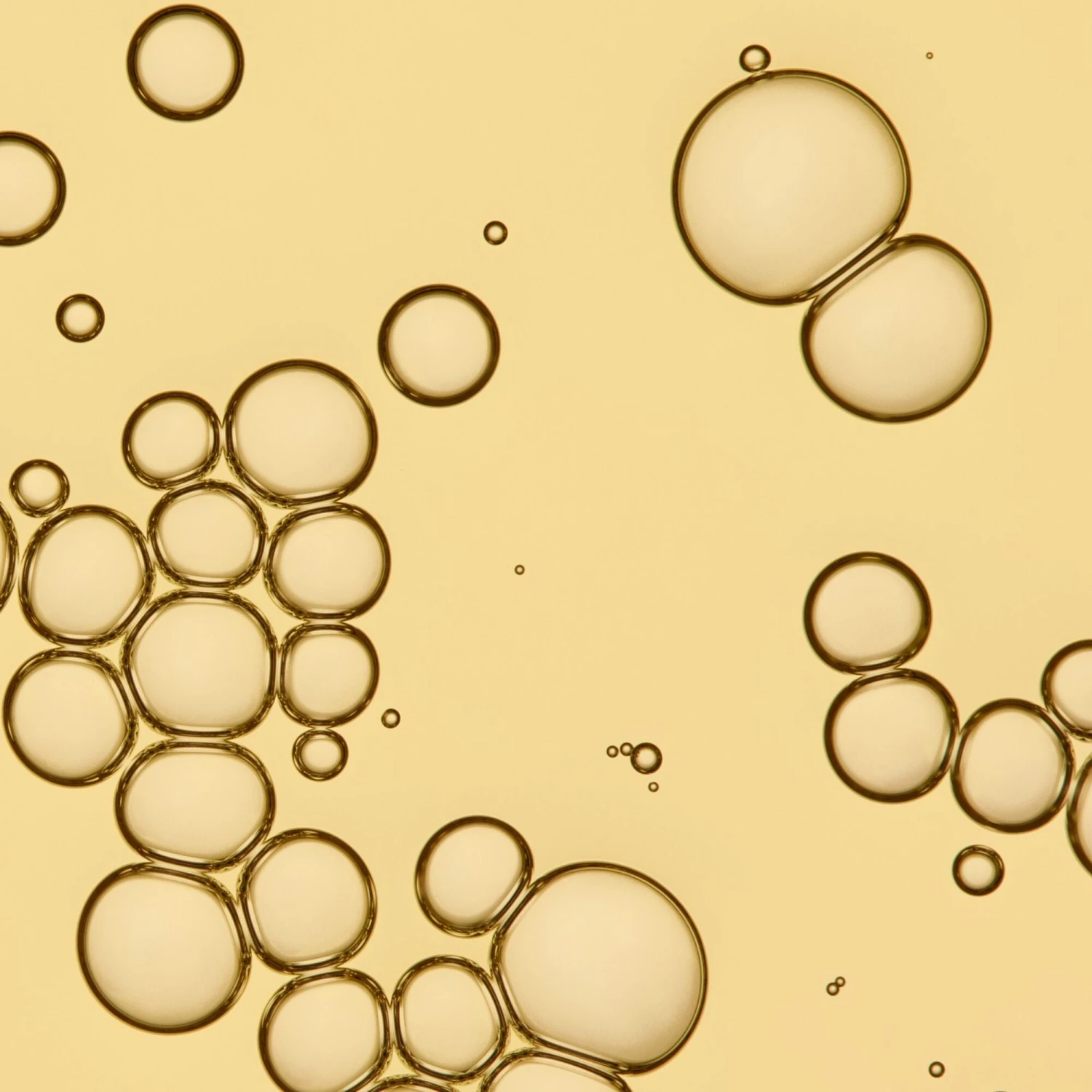 Living Proof No Frizz Vanishing Oil 4 Living Proof No Frizz Vanishing Oil - Image 2