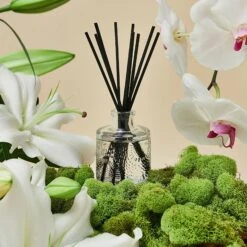 Voluspa Japonica Collection Home Ambiance Diffuser -Bumble Sale Store voluspa 3oz reed diffuser mokara2