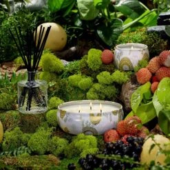 Voluspa Japonica Collection Home Ambiance Diffuser -Bumble Sale Store voluspa 3oz reed diffuser panjorelychee2