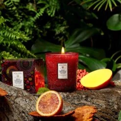 Voluspa Japonica Collection Boxed Classic Candle 9 Oz. -Bumble Sale Store voluspa classic boxed candle 9oz gojiorange2